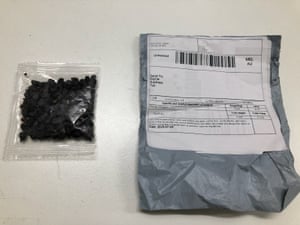 Unidentified seeds sent in the mail