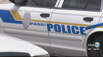 Hawaii Island man faces identity theft charges linked to car break-in