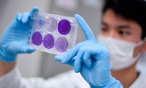 In this file photo taken on 26 March, 2020 a researcher works on virus replication in order to develop a vaccine against coronavirus, in Belo Horizonte, state of Minas Gerais, Brazil.