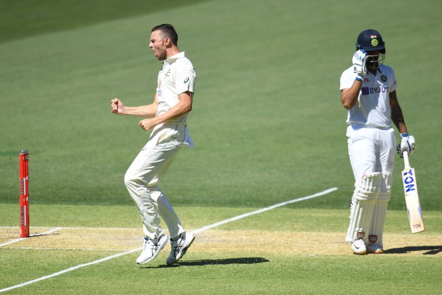 Josh Hazlewood clenches his fist and puffs out his cheeks as an Indian batsman walks off behind him