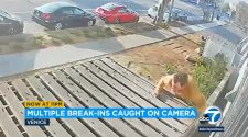 Venice residents frustrated by multiple break-ins caught on camera