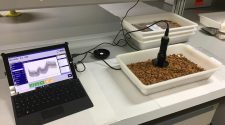 New technology to detect bitter almonds in real time