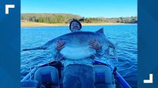 East TN man reels in potentially record-breaking fish on Cherokee Lake