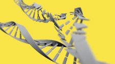 One Step Closer to CRISPR-Cas9 Cancer Therapies