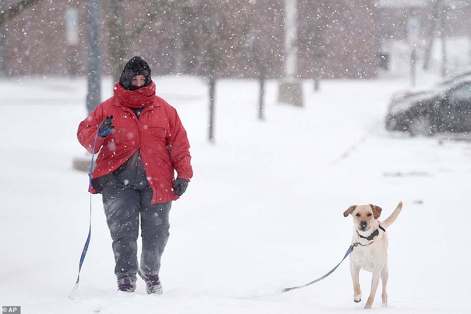 Edinboro University of Pennsylvania: Sarah Olson of Edinboro walks her dog Zion on Tuesday during the winter storm