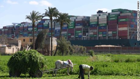 A farmer in the northeastern Egyptian city of Ismailiya harvests grass for cattle in front of the stranded Ever Given container ship, operated by Taiwanese company Evergreen Marine.