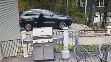 Black Bears Caught On Camera Breaking Into Avon Vehicle – NBC Connecticut