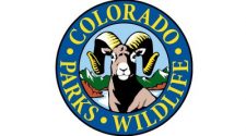 Colorado hunting applications for big game break record high FOX31 KDVR