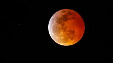 Blood moon live: Rare spectacle as super flower moon to combine with Lunar Eclipse