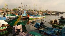 Whitepaper recommends greater adoption of digital technology in fisheries sector
