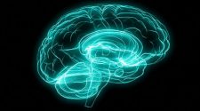 Caltech Professor Develops A New Technology for Imaging the Human Brain – Pasadena Now
