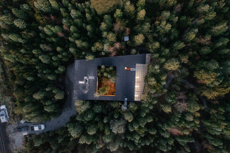 Houses in the Forest: Examples That Dialogue with the Environment in Latin America, Casa un patio / Lucas Maino Fernandez. Image © Marcos Zegers