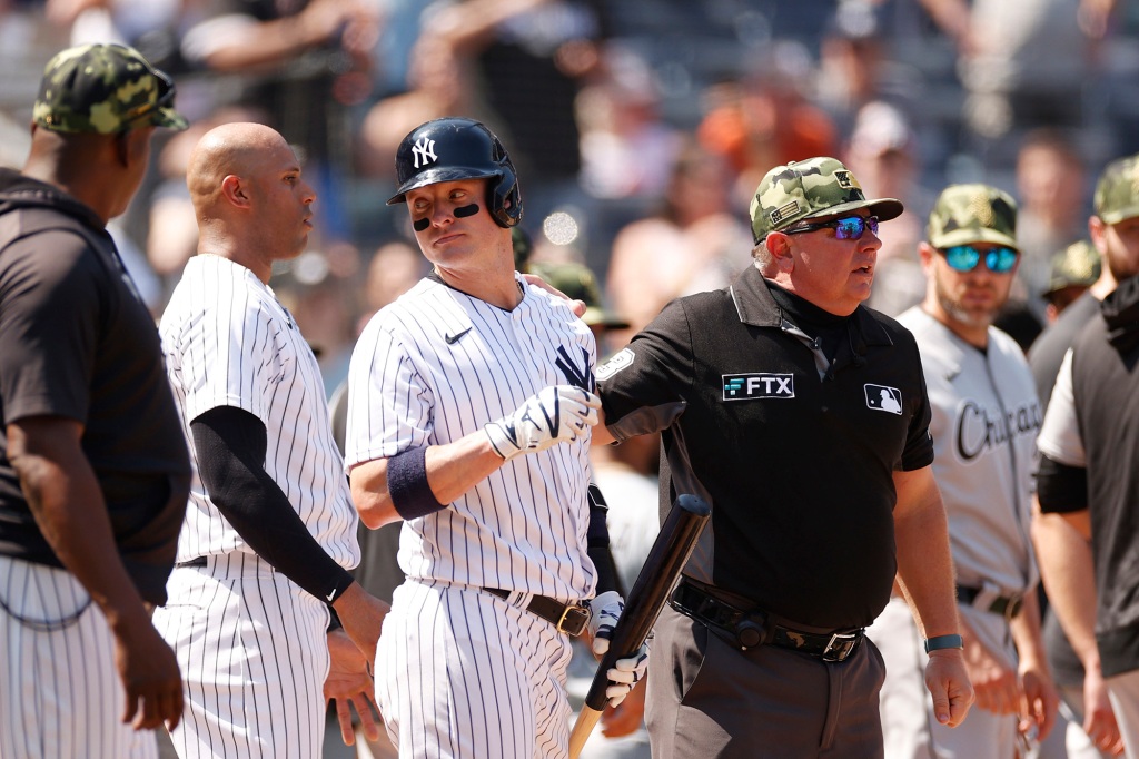 Josh Donaldson during Saturday's Yankees-White Sox game.