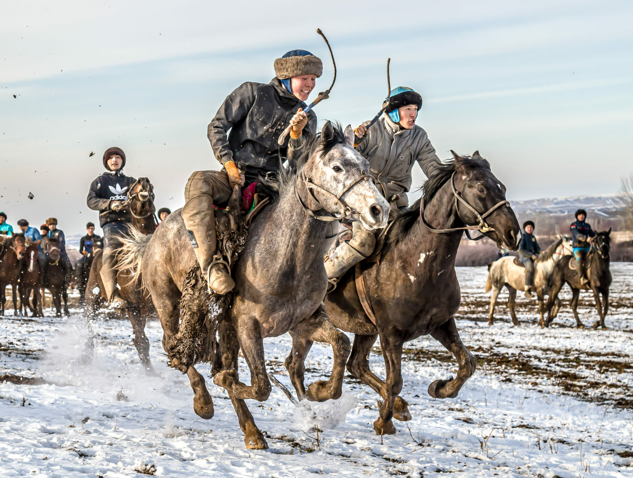 Horse Breed: Kazakh - image by Vladimir Konstantinov/Shutterstock.com - Globetrotting horse riding holidays