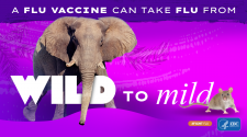 New Wild to Mild Campaign Drives Key Message to Tame Flu and Reset Expectations
