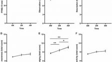 Trait mindfulness and personality characteristics in a microdosing ADHD sample: a naturalistic prospective survey study
