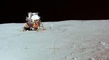 Defending against hypothetical moon life during Apollo 11